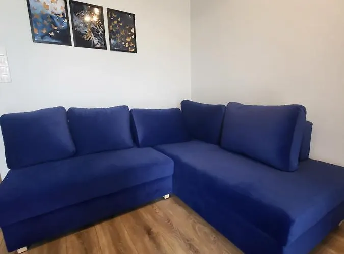 Nest Niebieski زاتور