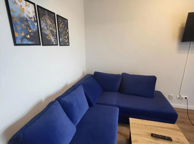 Nest Niebieski زاتور